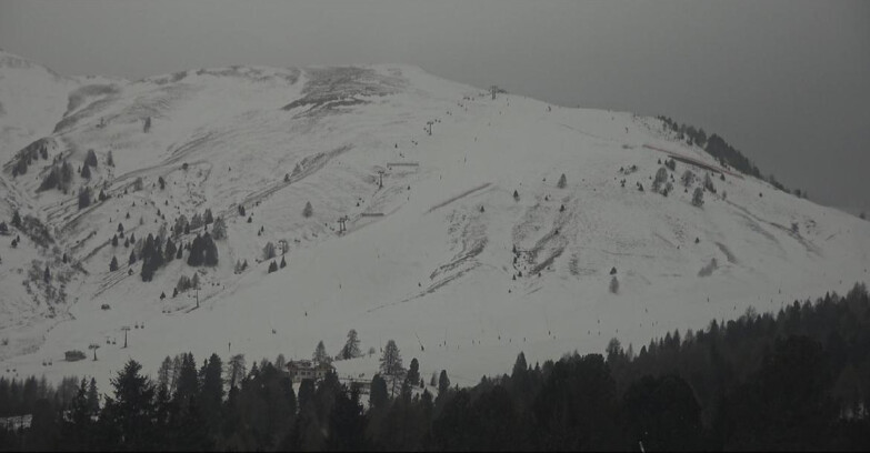 Webcam Bellamonte-Alpe Lusia - Pista direttissima Le Cune