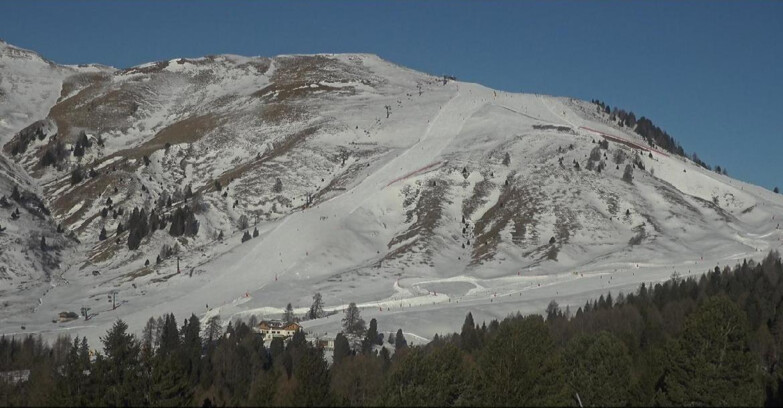 Webcam Bellamonte-Alpe Lusia  - Pista direttissima Le Cune