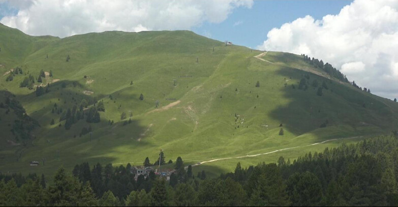 Webcam Bellamonte-Alpe Lusia  - Pista direttissima Le Cune