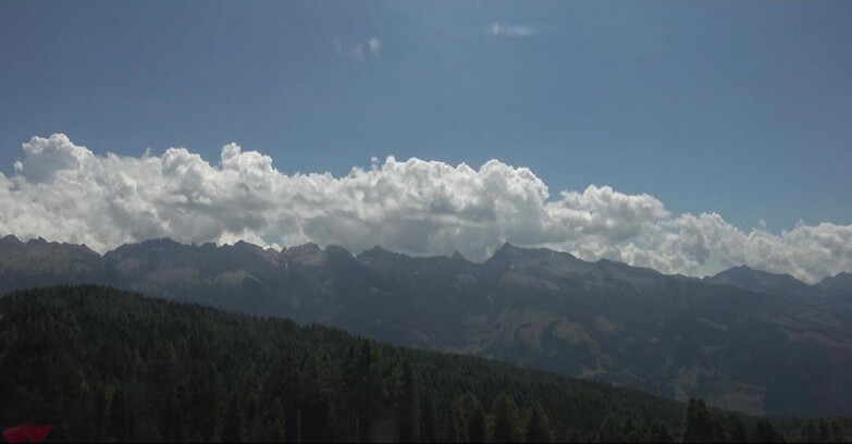 Webcam Bellamonte-Alpe Lusia - Lagorai