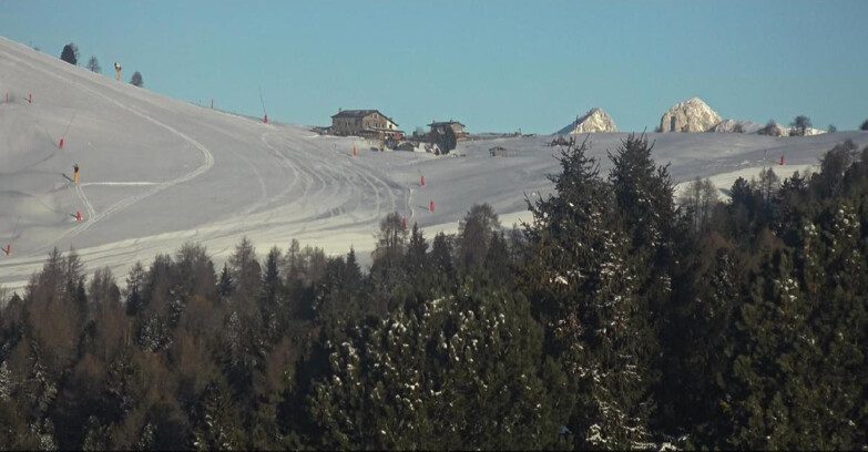 Webcam Bellamonte-Alpe Lusia  - Pista Dolomitica