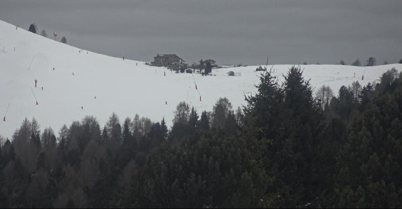 Webcam Bellamonte-Alpe Lusia  - Pista Dolomitica