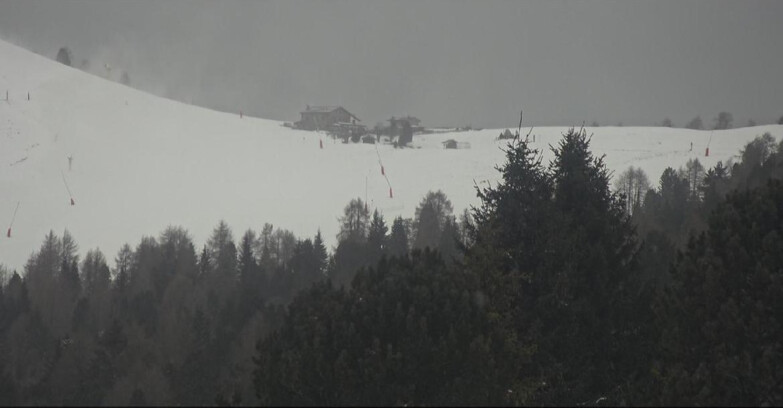 Webcam Bellamonte-Alpe Lusia  - Pista Dolomitica