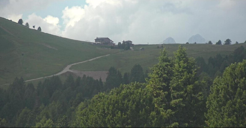 Webcam Bellamonte-Alpe Lusia - Dolomiti slope