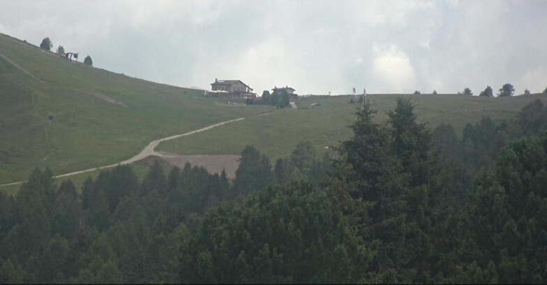 Webcam Bellamonte-Alpe Lusia - Pista Dolomitica