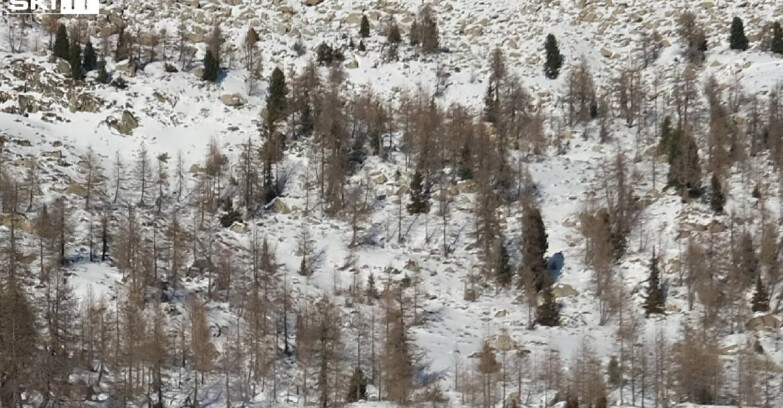 Webcam Madonna di Campiglio - Campiglio Rifugio Viviani 