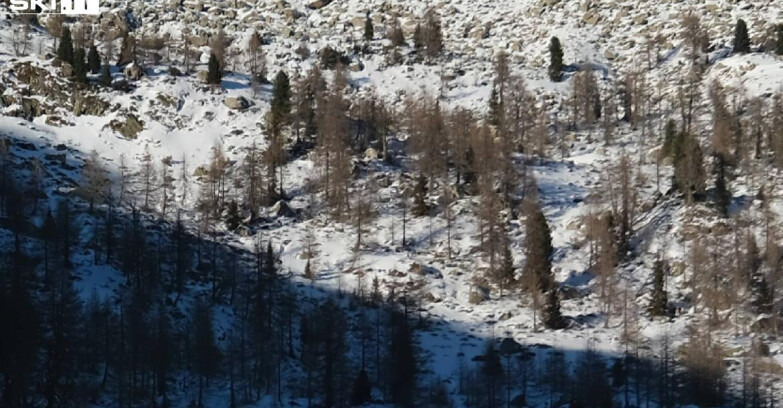 Webcam Madonna di Campiglio - Campiglio Rifugio Viviani 