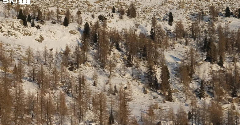 Webcam Madonna di Campiglio - Campiglio Rifugio Viviani 