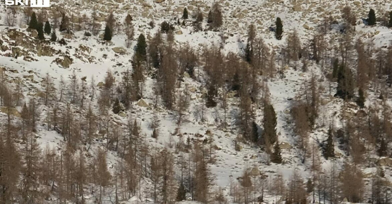 Webcam Madonna di Campiglio - Rifugio Viviani