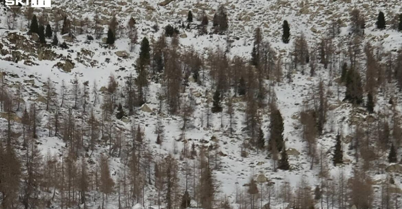 Webcam Madonna di Campiglio - Rifugio Viviani