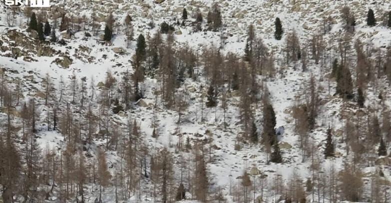 Webcam Мадонна-ди-Кампильо  - Rifugio Viviani