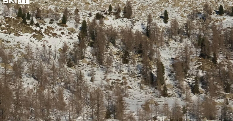 Webcam Madonna di Campiglio - Rifugio Viviani