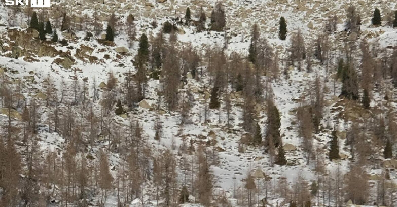 Webcam Madonna di Campiglio - Rifugio Viviani