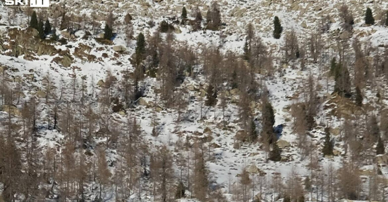 Webcam Madonna di Campiglio - Rifugio Viviani