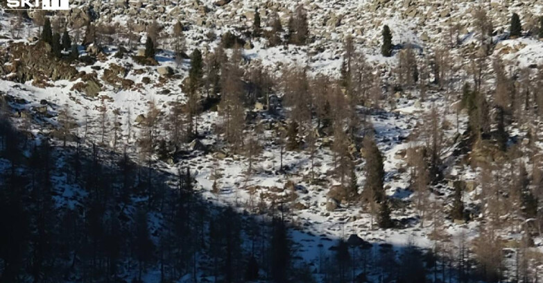 Webcam Madonna di Campiglio - Rifugio Viviani