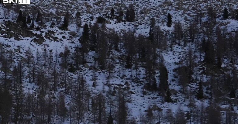 Webcam Madonna di Campiglio - Rifugio Viviani