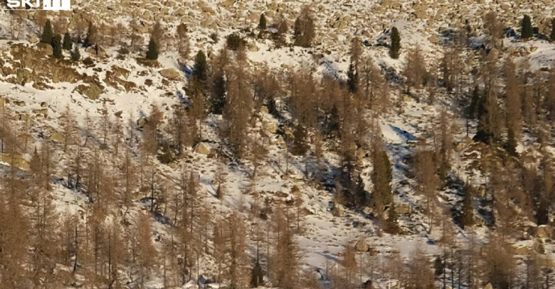 Webcam Madonna di Campiglio - Rifugio Viviani