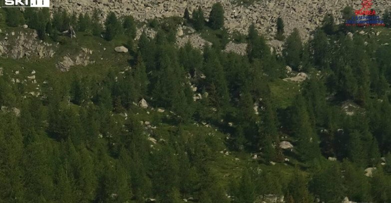 Webcam Madonna di Campiglio - Rifugio Viviani