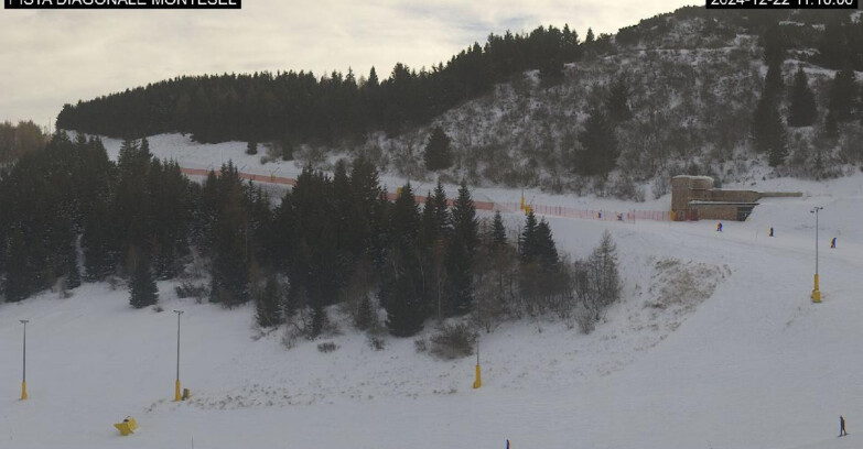 Webcam Monte Bondone - Bondone Diagonale Montesel