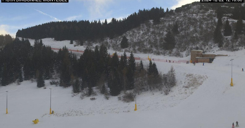 Webcam Monte Bondone - Bondone Diagonale Montesel