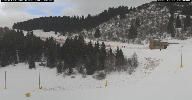 Webcam Monte Bondone - Bondone Diagonale Montesel