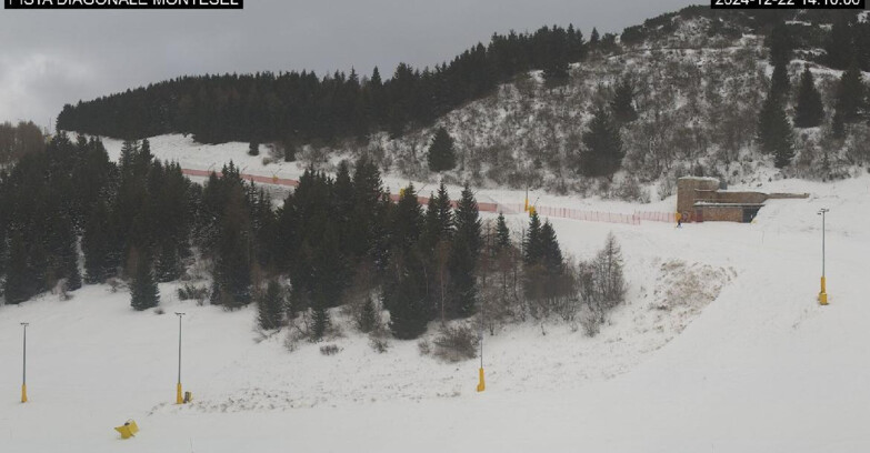 Webcam Monte Bondone - Bondone Diagonale Montesel