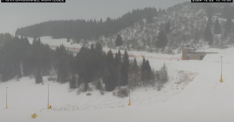 Webcam Monte Bondone - Bondone Diagonale Montesel