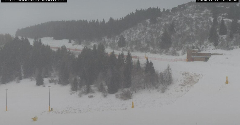 Webcam Monte Bondone - Bondone Diagonale Montesel