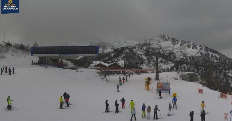 Webcam Skiarea Campiglio Dolomiti di Brenta Val di Sole Val Rendena - Seggiovia Orso Bruno 