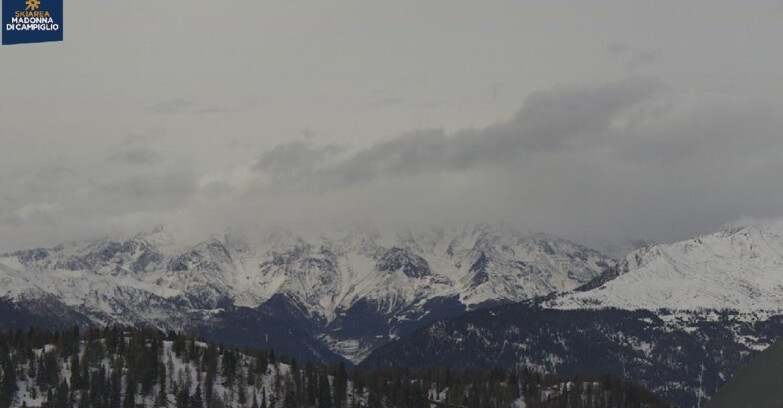 Webcam Skiarea Campiglio Dolomiti di Brenta Val di Sole Val Rendena - Gruppo Ortles Cevedale 