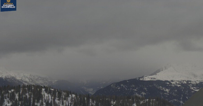 Webcam Skiarea Campiglio Dolomiti di Brenta Val di Sole Val Rendena - Gruppo Ortles Cevedale 