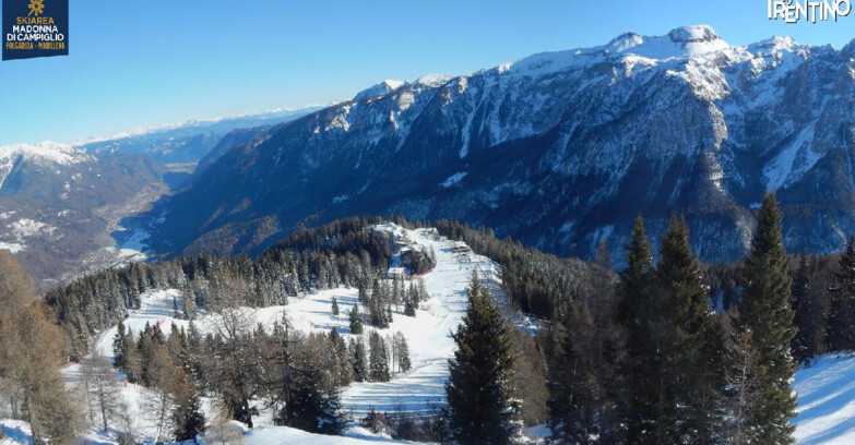 Webcam Skiarea Campiglio Dolomiti di Brenta Val di Sole Val Rendena - Folgarida Malghet Aut 