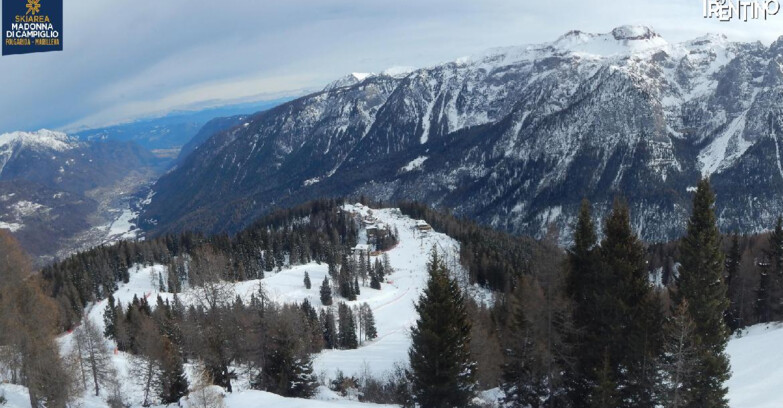 Webcam Skiarea Campiglio Dolomiti di Brenta Val di Sole Val Rendena - Folgarida Malghet Aut 