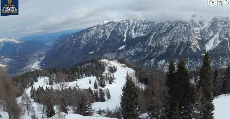 Webcam Skiarea Campiglio Dolomiti di Brenta Val di Sole Val Rendena - Folgarida Malghet Aut 