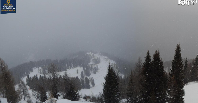 Webcam Skiarea Campiglio Dolomiti di Brenta Val di Sole Val Rendena - Folgarida Malghet Aut 