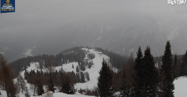 Webcam Skiarea Campiglio Dolomiti di Brenta Val di Sole Val Rendena - Folgarida Malghet Aut 