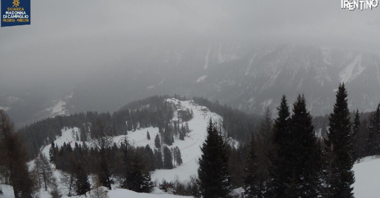 Webcam Skiarea Campiglio Dolomiti di Brenta Val di Sole Val Rendena - Folgarida Malghet Aut 