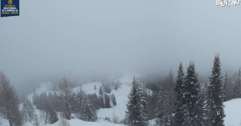 Webcam Skiarea Campiglio Dolomiti di Brenta Val di Sole Val Rendena - Folgarida Malghet Aut 