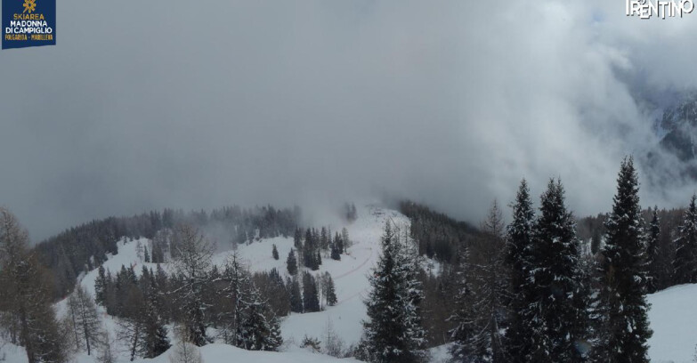 Webcam Skiarea Campiglio Dolomiti di Brenta Val di Sole Val Rendena - Folgarida Malghet Aut 