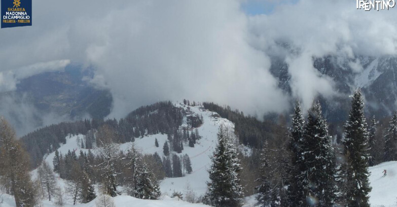 Webcam Skiarea Campiglio Dolomiti di Brenta Val di Sole Val Rendena - Folgarida Malghet Aut 