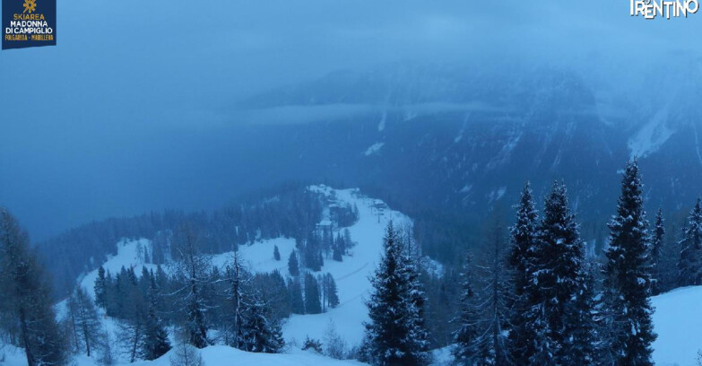 Webcam Skiarea Campiglio Dolomiti di Brenta Val di Sole Val Rendena - Folgarida Malghet Aut 