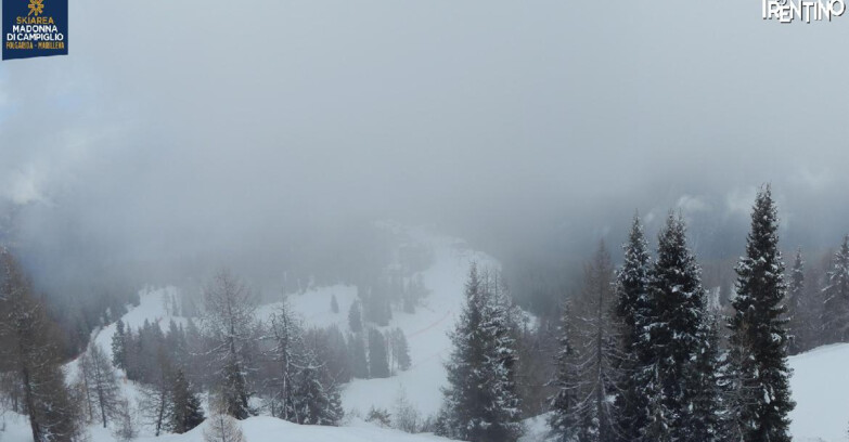 Webcam Skiarea Campiglio Dolomiti di Brenta Val di Sole Val Rendena - Folgarida Malghet Aut 