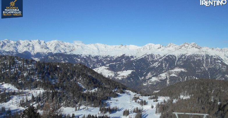 Webcam Skiarea Campiglio Dolomiti di Brenta Val di Sole Val Rendena - Val Panciana