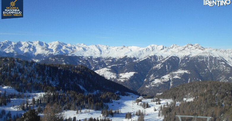 Webcam Skiarea Campiglio Dolomiti di Brenta Val di Sole Val Rendena - Val Panciana