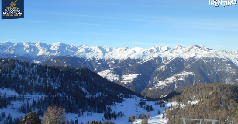 Webcam Skiarea Campiglio Dolomiti di Brenta Val di Sole Val Rendena - Val Panciana