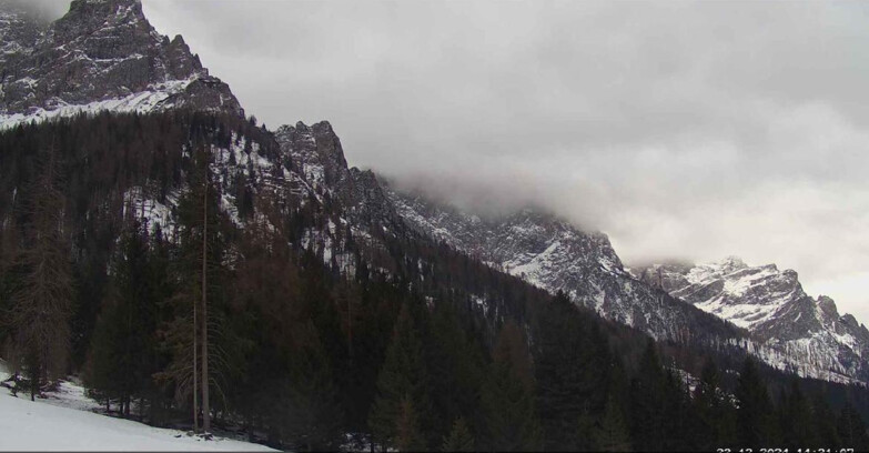 Webcam Сан-Мартино-ди-Кастроцца - Пассо-Ролле - Le Pale di San Martino