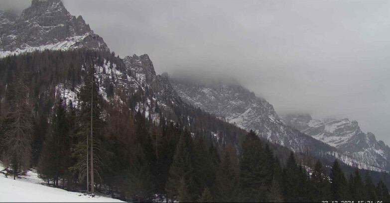 Webcam Сан-Мартино-ди-Кастроцца - Пассо-Ролле - Le Pale di San Martino