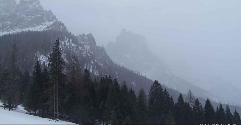 Webcam Сан-Мартино-ди-Кастроцца - Пассо-Ролле - Le Pale di San Martino