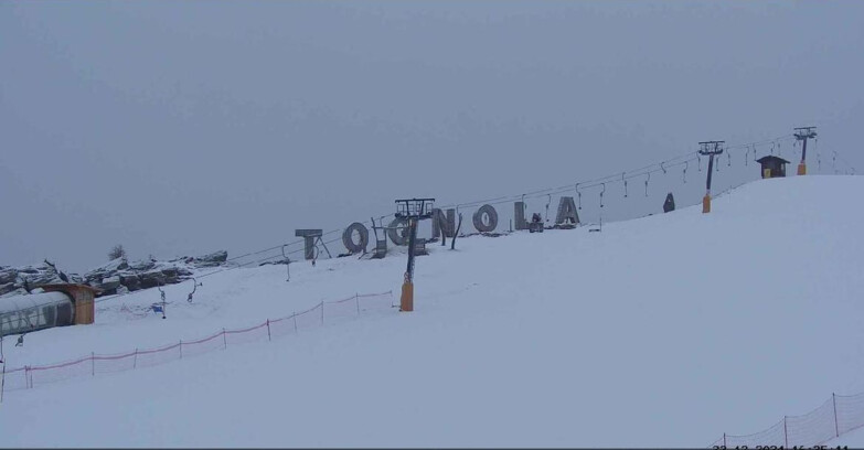 Webcam Сан-Мартино-ди-Кастроцца - Пассо-Ролле - Tognola Park