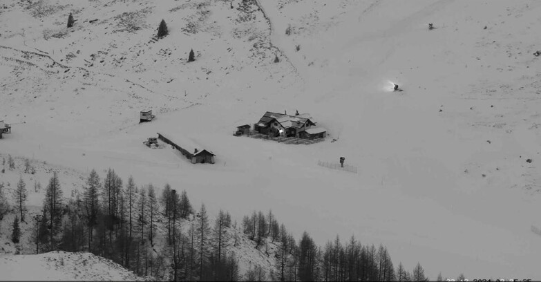 Webcam San Martino di Castrozza - Passo Rolle - Malga Tognola